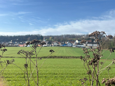 Vorschlag: Frühlingspanorama Luitpoldhöhe